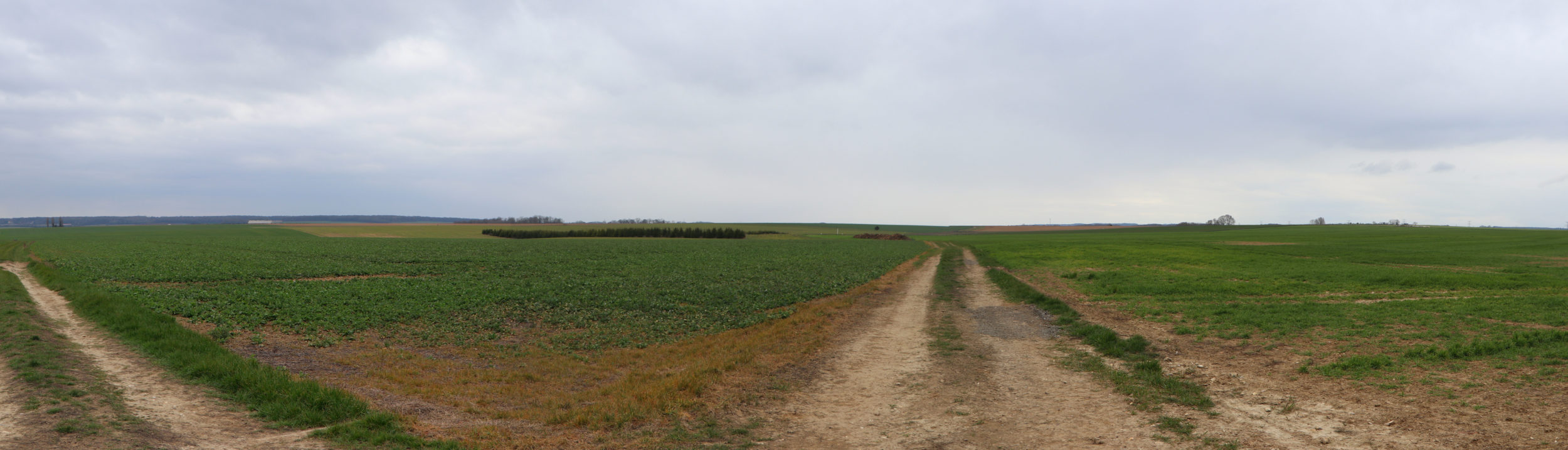 centrale agrivoltaïque de Sérifontaine et Flavacourt Qair France